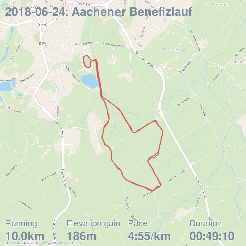 Aachener Benefizlauf